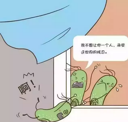 刷爆网络的《甲醛的自白书》