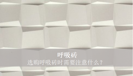 呼吸砖 选购呼吸砖时需要注意什么？