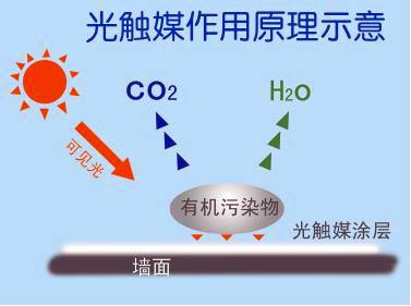 新房除甲醛需要注意哪些？都有哪些有效去除的方法？