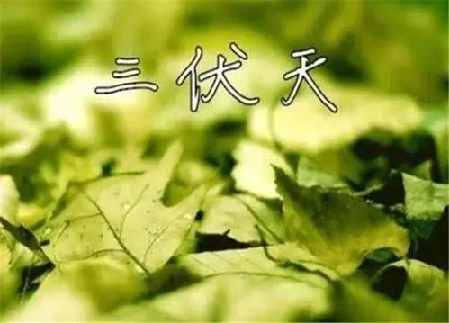 三伏天更要找杭州甲醛检测公司上门采样吗？